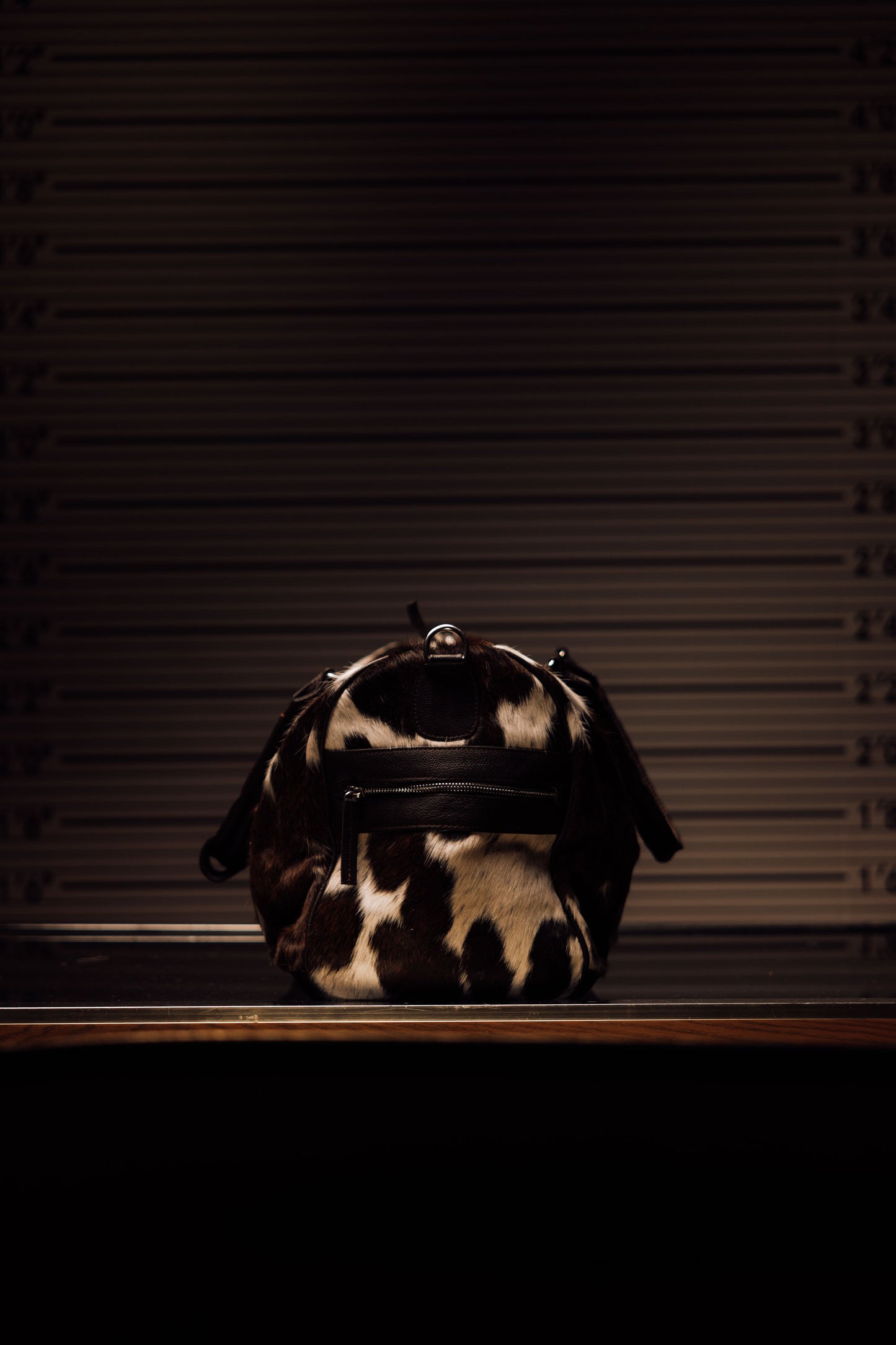 Evidence Bag 6