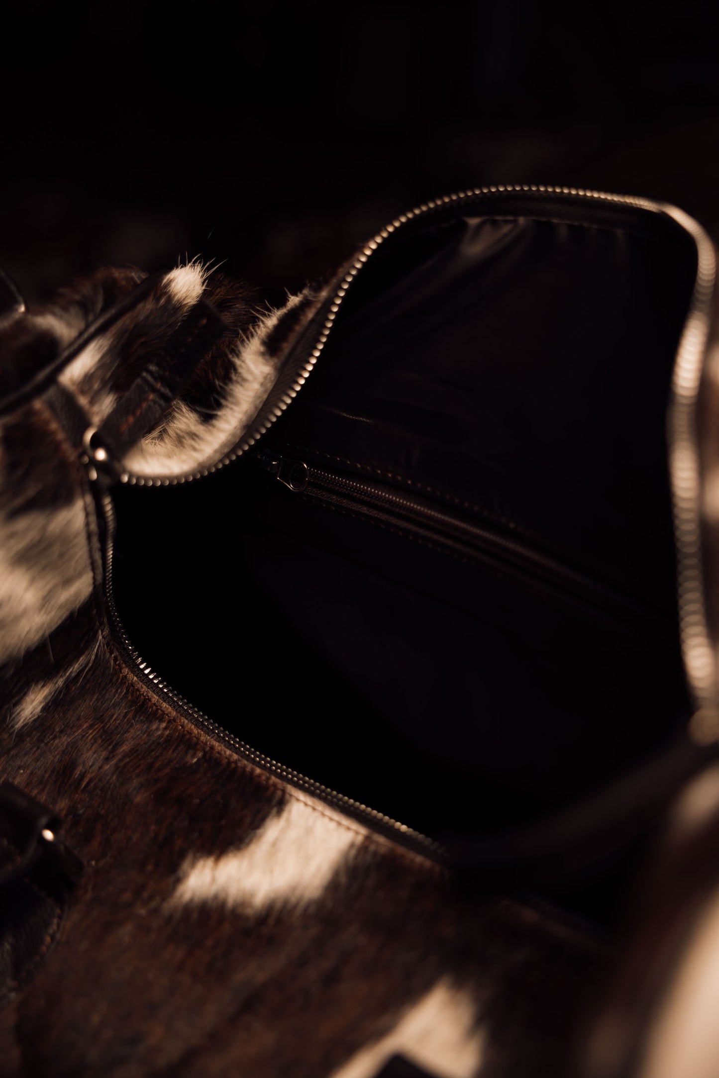 Evidence Bag 6